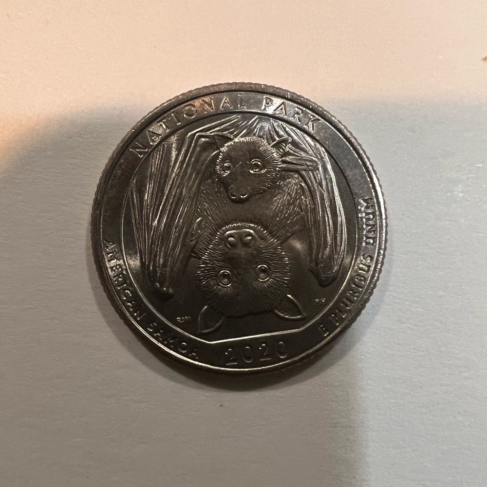 2020 quarter bat